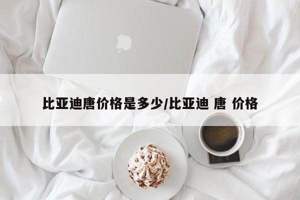 比亚迪唐价格是多少/比亚迪 唐 价格