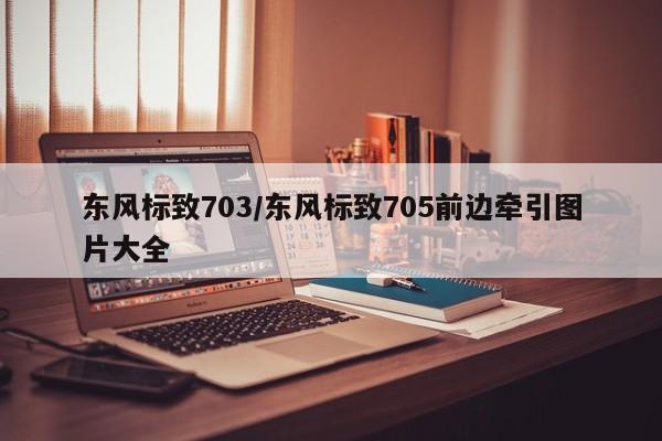 东风标致703/东风标致705前边牵引图片大全